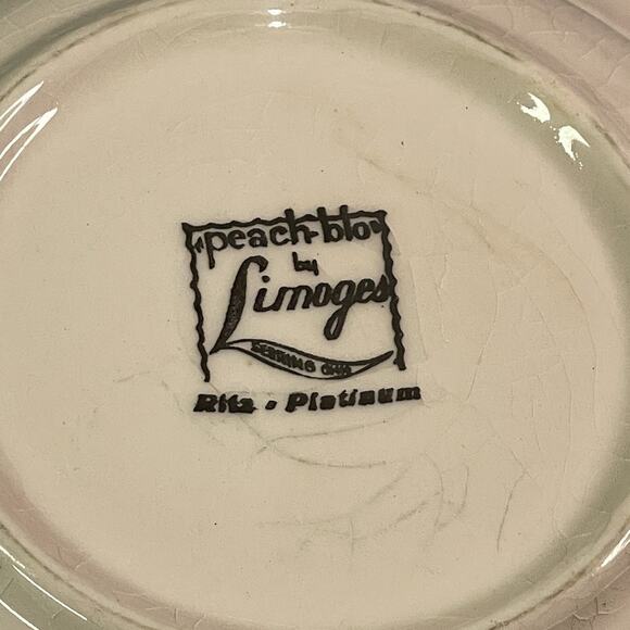 Limoges Peach Blo Ritz Platinum Salad/Soup Bowl Sebring Ohio Scalloped Vintage - Picture 5 of 6